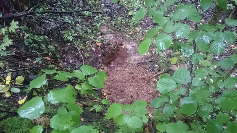 Не закопанная яма в лесу после копа 