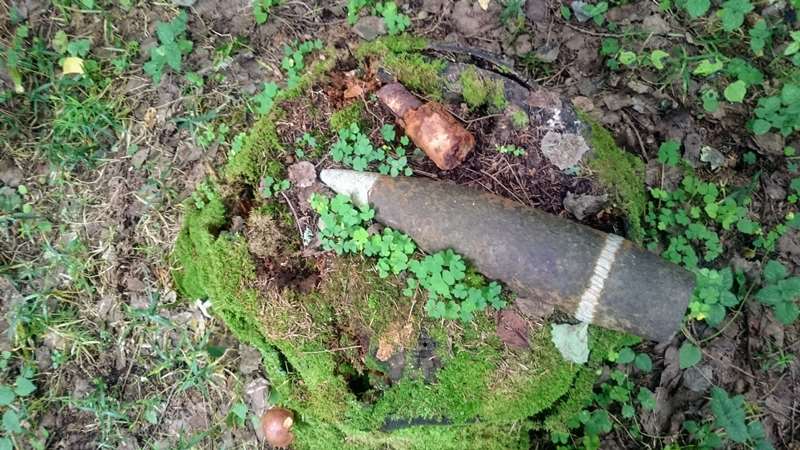 Боеприпасы найденные поисковиками и оставленные в лесу